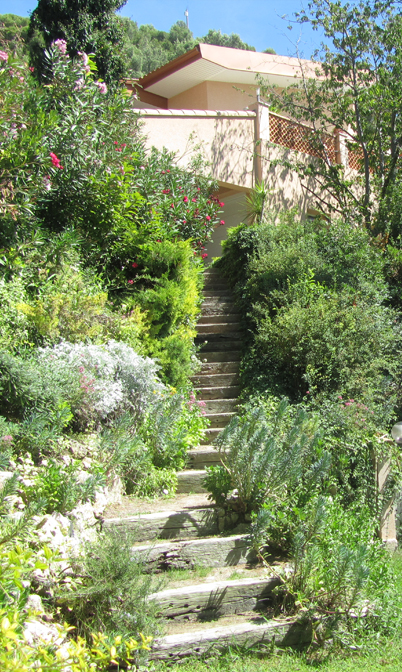 jardin fleuri chambre hote petit déjeuner dejeuner bed breakfast ventabren